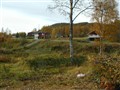 20050926röj (5).JPG