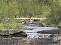 IMG_2431.JPG